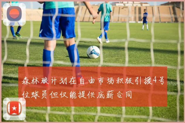 森林狼计划在自由市场积极引援4号位球员但仅能提供底薪合同